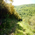 DSCN4845