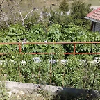 21082010628