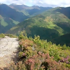 DSCN3792