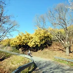 DSCN2691