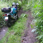 DSCN3710