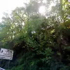 DSCN1803