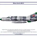 mig_21