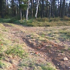 IMG-20170425-WA0017