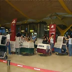 barajas2