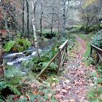 DSCN1813