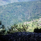 DSCN7631