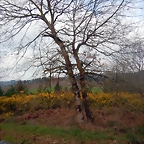 DSCN2463