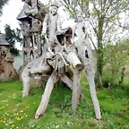 DSCN4338