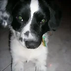 cooper