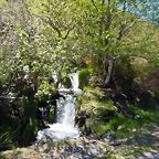DSCN1037