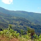 DSCN4875'4