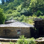 DSCN7701