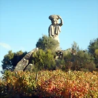 DSCN1728