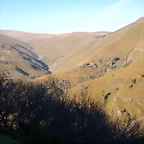 DSCN9116