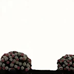 13940636153_c1ace6631e_z