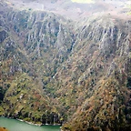 DSCN0161