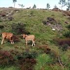 DSCN0562