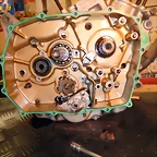 DSCN1494