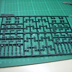DSCN2366