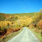 DSCN9933