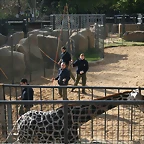 Zoo de Barcelona 28-11-2010 595