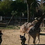 Zoo de Barcelona 28-11-2010 524