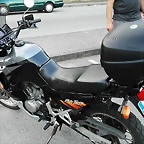 Transalp 600 005