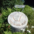 DSCN8175