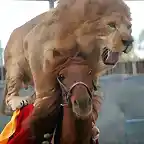 Foto tomada de internet. Len montando a caballo.