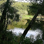 DSCN5291