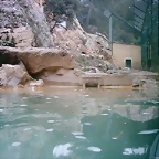Zoo la Barben 26-06-05 (62)