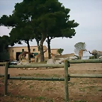 Zoo la Barben 26-06-05 (67)