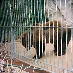 Zoo la Barben 26-06-05 (3)
