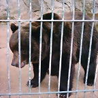 Zoo la Barben 26-06-05 (4)