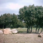 Zoo la Barben 26-06-05 (45)