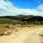 DSCN8637