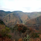 DSCN2179