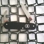 aa