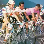 GIRO1987 ,BREUKIN,ROCHE