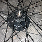 DSCN0101