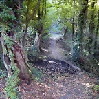 DSCN9359