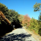 DSCN9173
