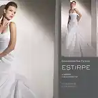 modelo estirpe