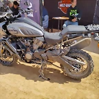 HARLEY3