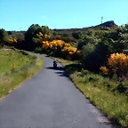 DSCN2155