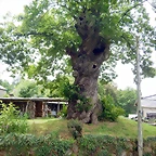 DSCN4457