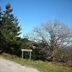 DSCN2943