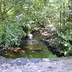 DSCN2104
