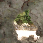 DSC01436